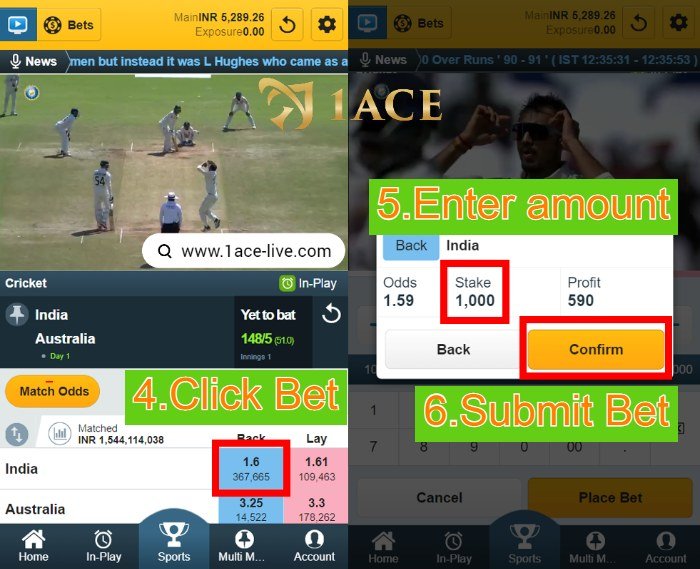 1Ace 9Wickets sports betting system 456