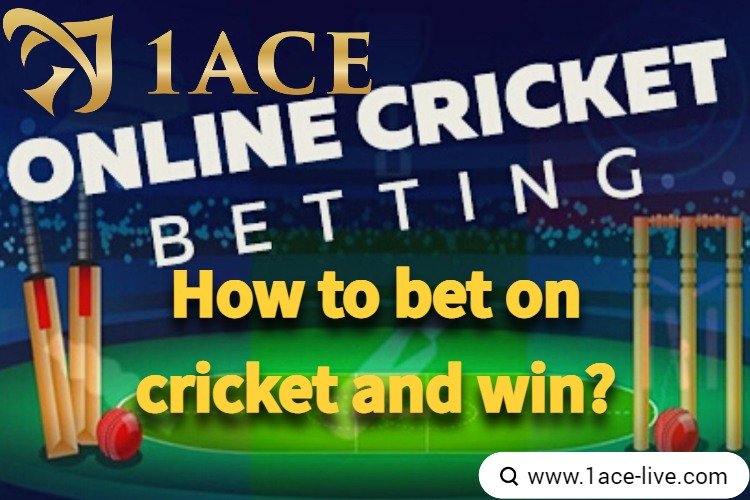 How to bet on cricket and win Tips from the experts