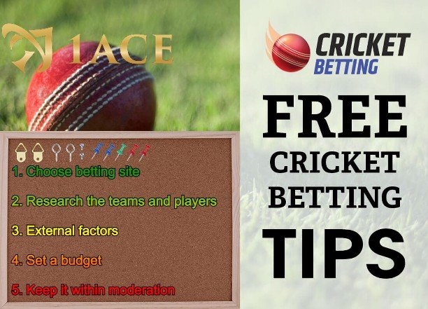 Delving Deep into the World of Online Cricket Betting: Tips and Tricks